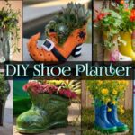 Starý pantofel v teplomilném truhlíku: 200 let starý chyták proti krtům