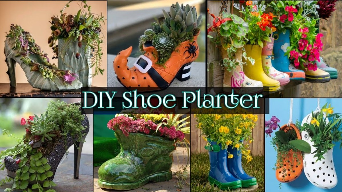 Starý pantofel v teplomilném truhlíku: 200 let starý chyták proti krtům