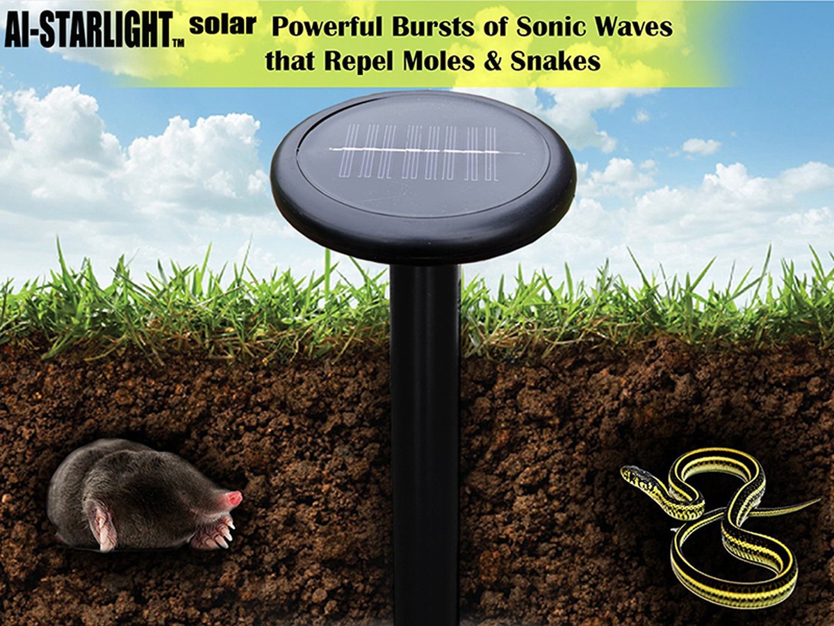 Starý pantofel v teplomilném truhlíku: 200 let starý chyták proti krtům - image 1