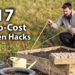 Starý půllitr umístěný mezi rostliny? Záhrada vám poděkuje zásadně