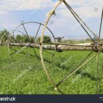 Starý punčoch jako filtr na závlahu—ušetří vám 40% vody