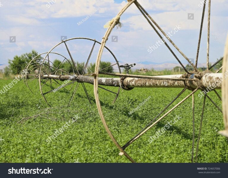 Starý punčoch jako filtr na závlahu—ušetří vám 40% vody