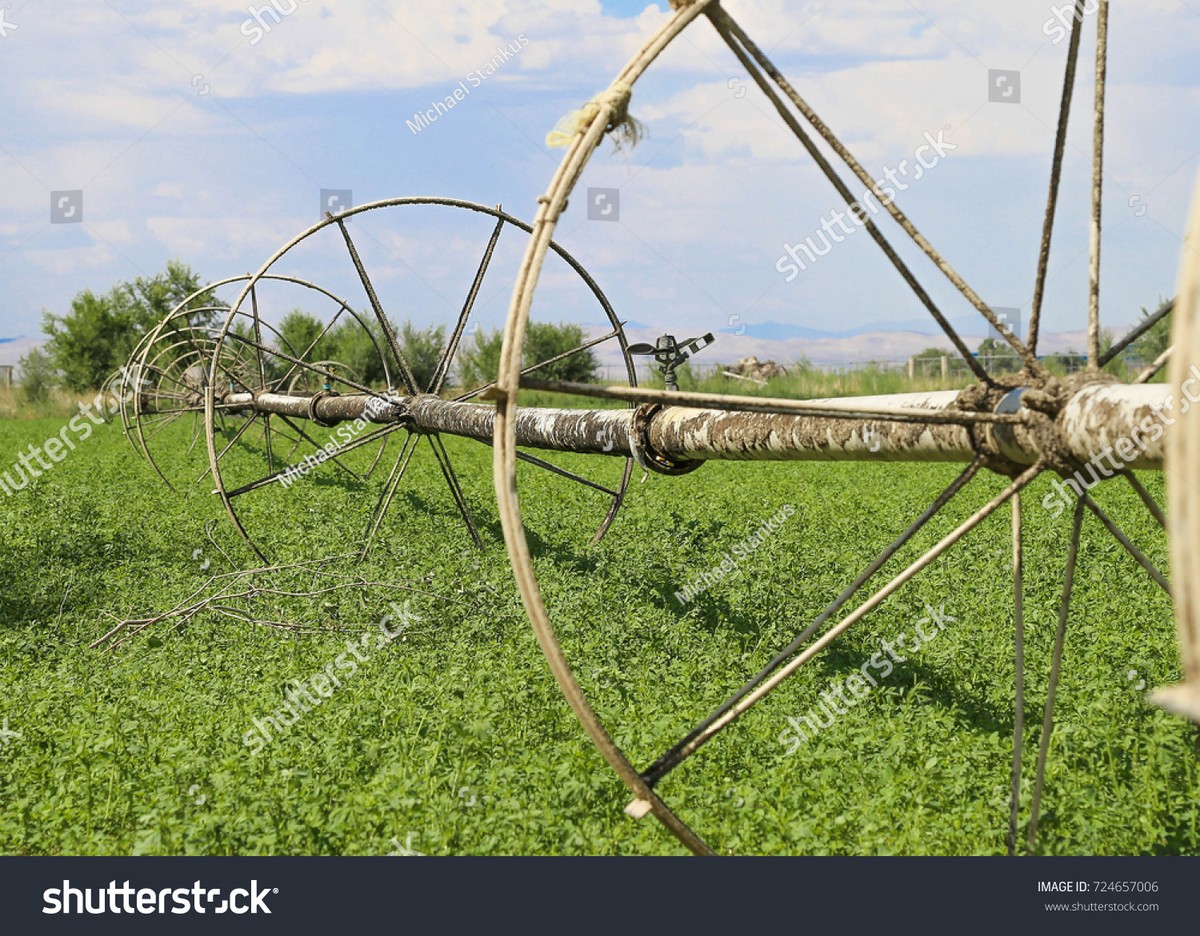 Starý punčoch jako filtr na závlahu—ušetří vám 40% vody