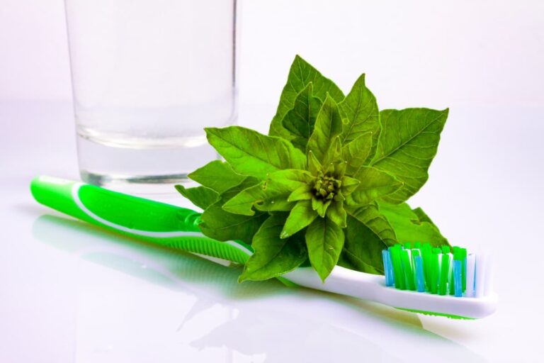Starý zubní kartáč na bylinky? Nejlepší investice 5 korun