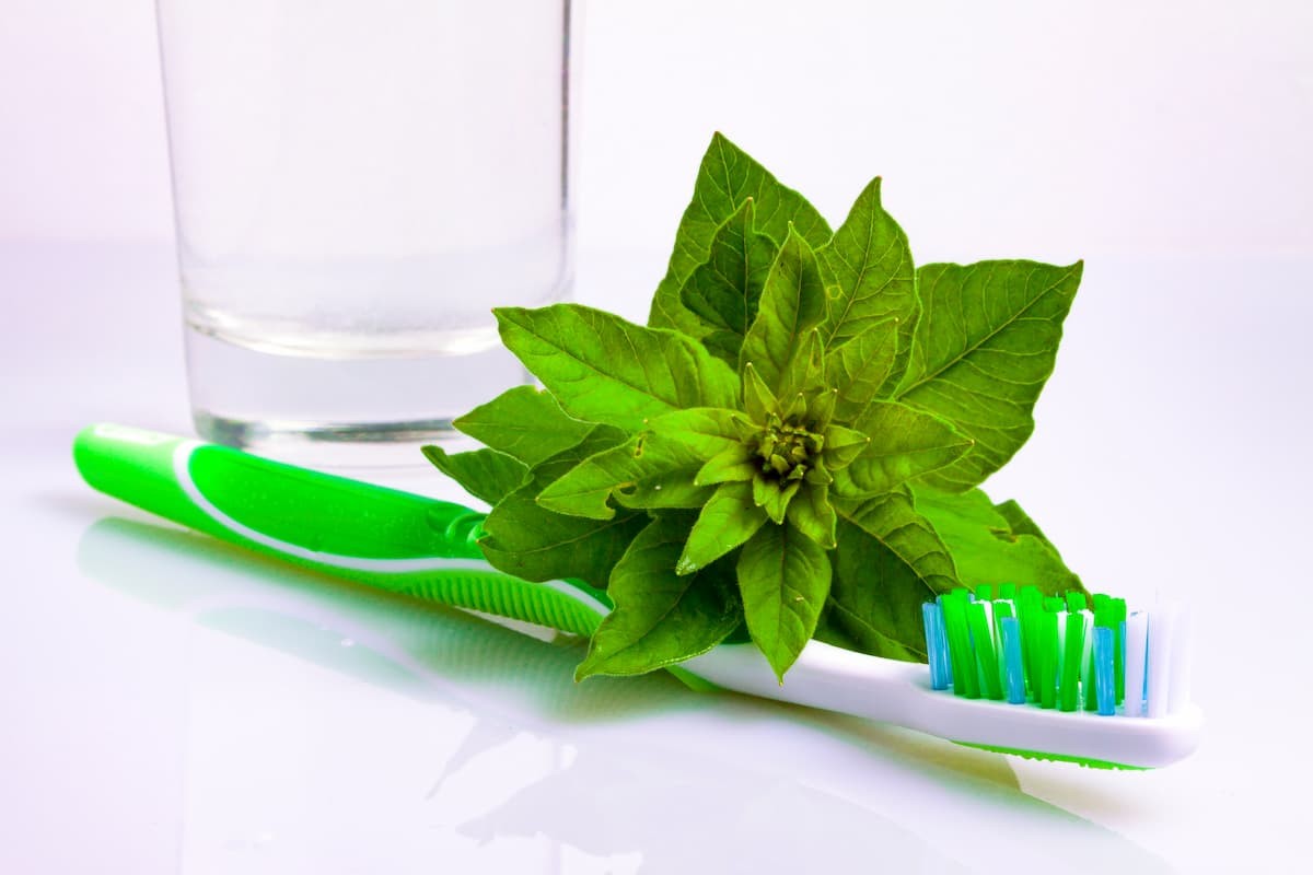 Starý zubní kartáč na bylinky? Nejlepší investice 5 korun