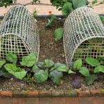 Stavbyvedoucí odhaluje: proč natahovací páska chrání sazenice lépe než fólie