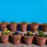 Umělé květináče versus přírodní: co volí zkušení zahradníci