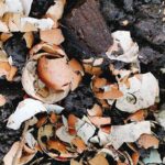 Vaječné skořápky do půdy? Tři věci, které se stane s vaší úrodou