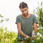 Večerní zalévání zahrady: hrozba pro zdraví rostlin, kterou nevnímáte