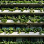 Vertikální zahrádka v bytě: trend 2025 pro ty, kdo nemají terasu