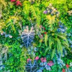 Vertikální zahrady v malých bytech. Trend 2025