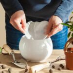 Vložte kávový filtr do půdy: staletý trik proti plísním v truhlíku