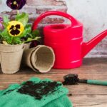 Zahradníci prozradili, které hnojivo skutečně funguje