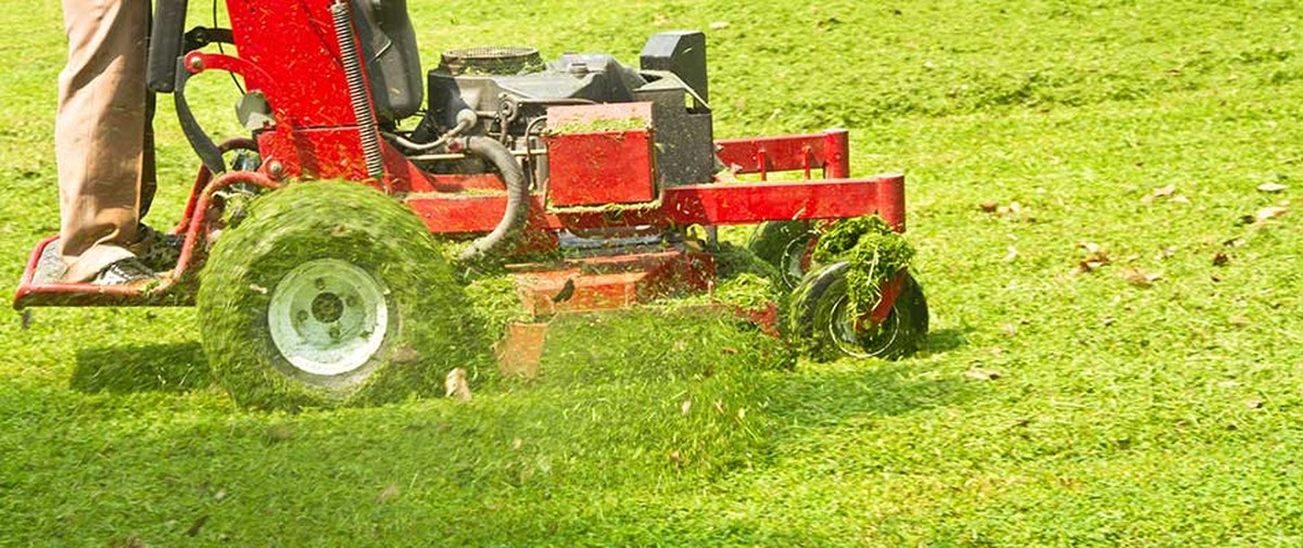 Zahradníci varují: nikdy nesekat trávu za rosného rána. Věřte jejich zkušenosti