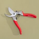 Zahradníci varují: Nikdy neřežte byliny nůžkami, které používáte na jedli