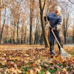 Zahradník radí: co dělat se záhonem už v listopadu