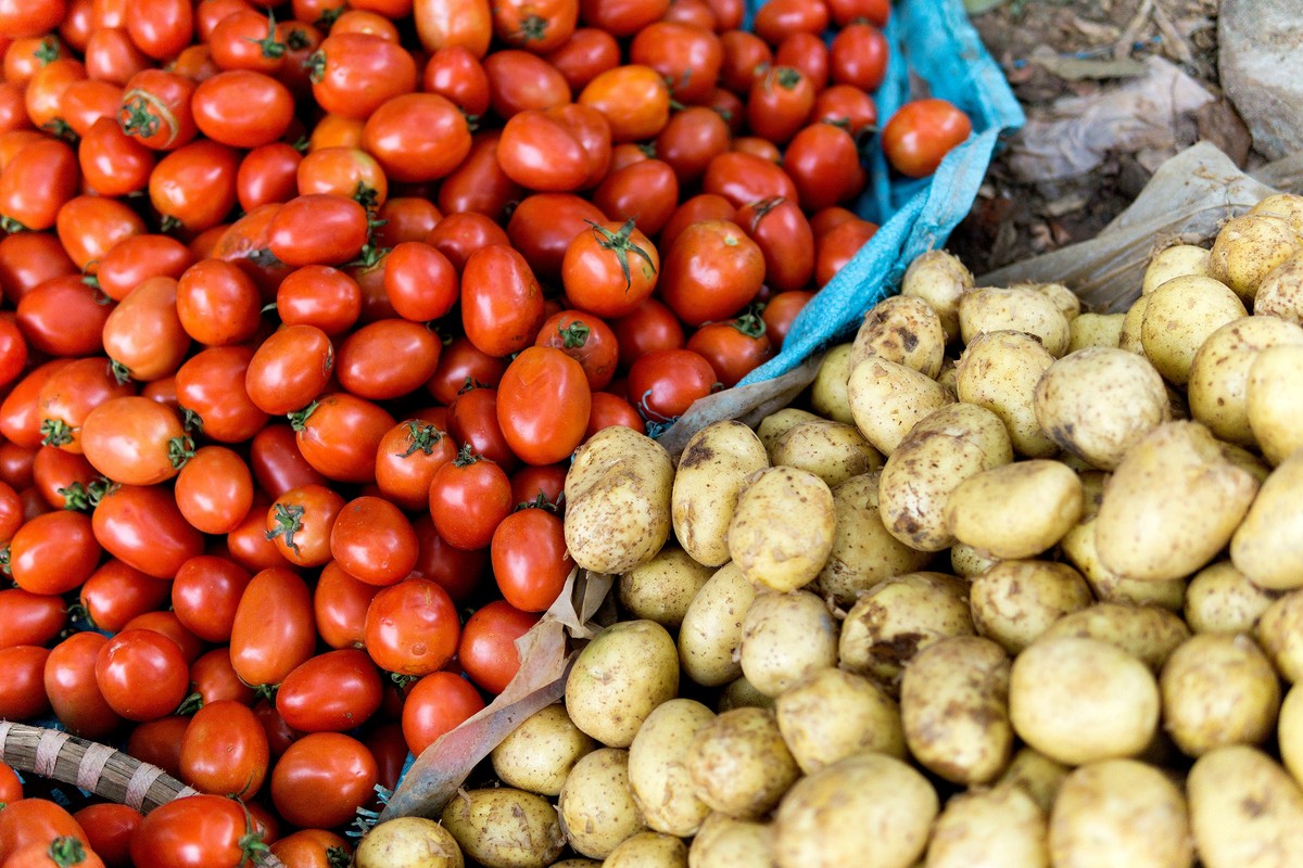 Zemědělci vám řeknou: nikdy nepěstujte rajčata vedle těchto rostlin - image 2