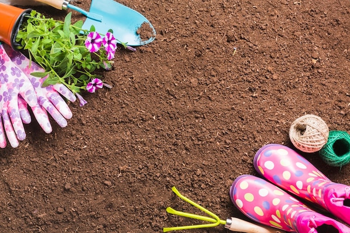 Zkušený zahradník prozradil: jak poznat kvalitu vaší půdy na pohled - image 1