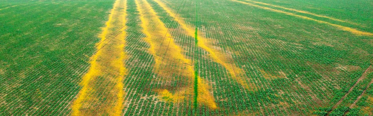Agronomové varují: přehnojená zem jako časovaná bomba pro vaši úrodu - image 1