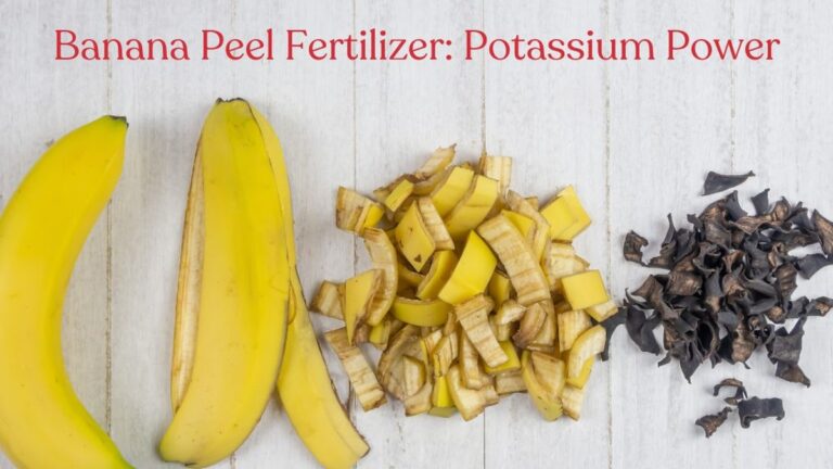 Banánová slupka versus hnojivo: Co místní pěstitelé vědí, co vy ne