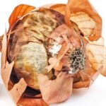 Cibulové slupky jako přírodní hnojivo – co se skrývá pod slupkou