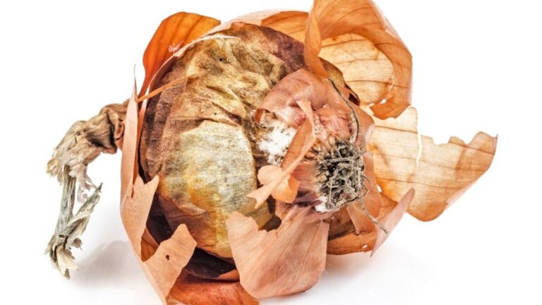 Cibulové slupky jako přírodní hnojivo – co se skrývá pod slupkou