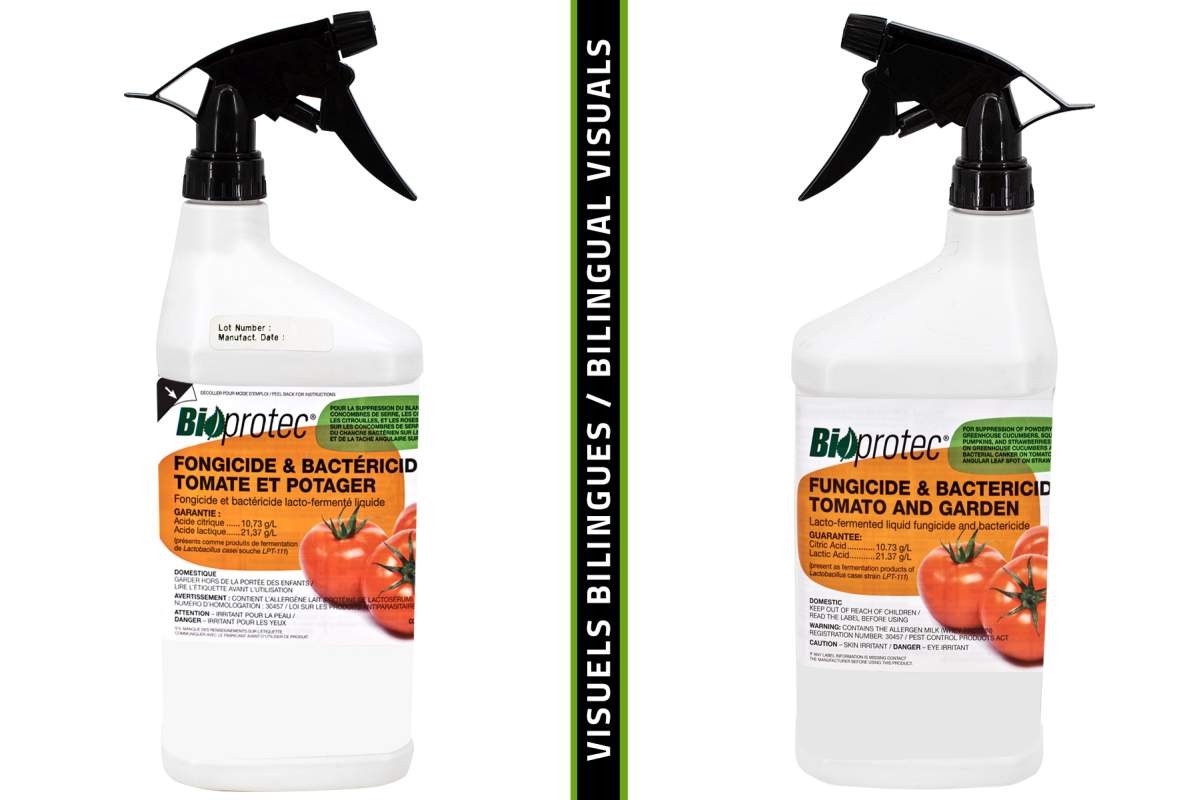 Cibulové slupky ve vodě — fermentovaný nápoj, který vytěsní škůdce bez chemie - image 1