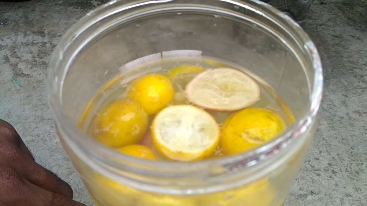 Citrónová kůra namísto drahých hnojiv. Jak ji správně použít - image 1