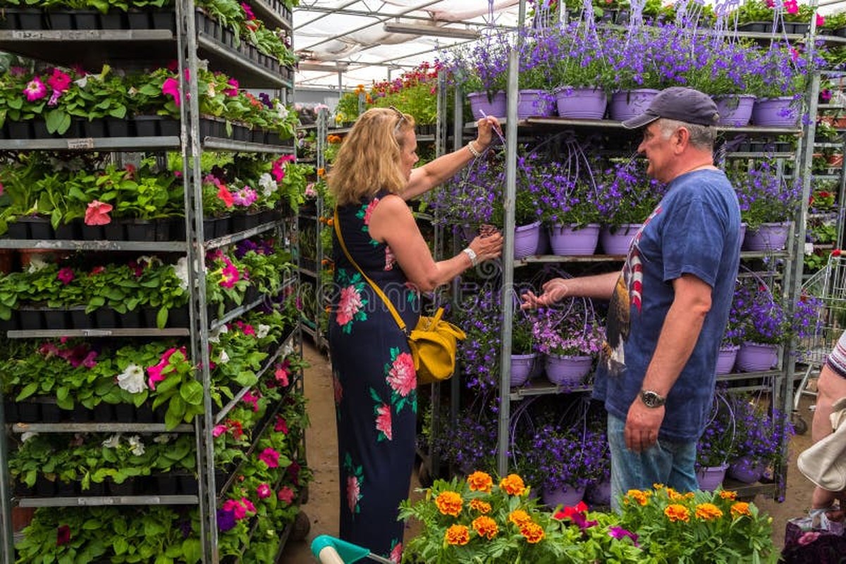 Co květináři skutečně dělají se starou půdou: není to vyhazování