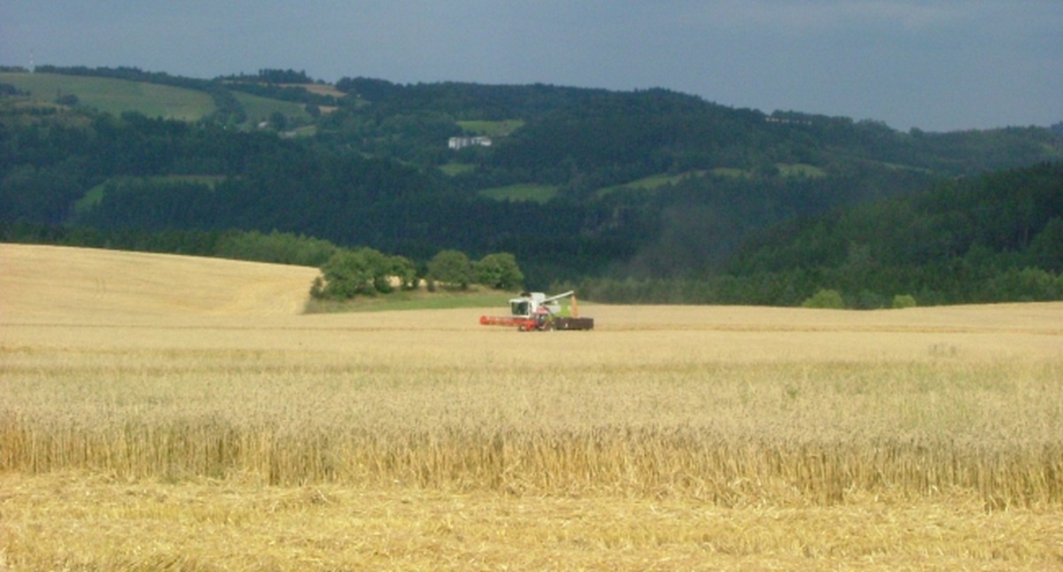Co odhaluje zemědělec o zemině už na první pohled - image 2