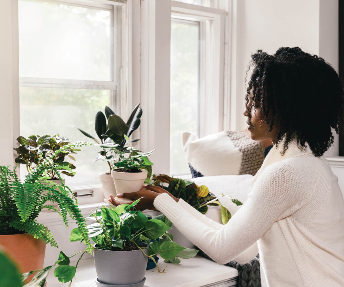Co vám nikdy neřekne prodavač: pravda o hnojivech v lednu - image 1
