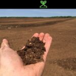 Co vám zahradník nikdy neřekne o půdě ve vašem regionu