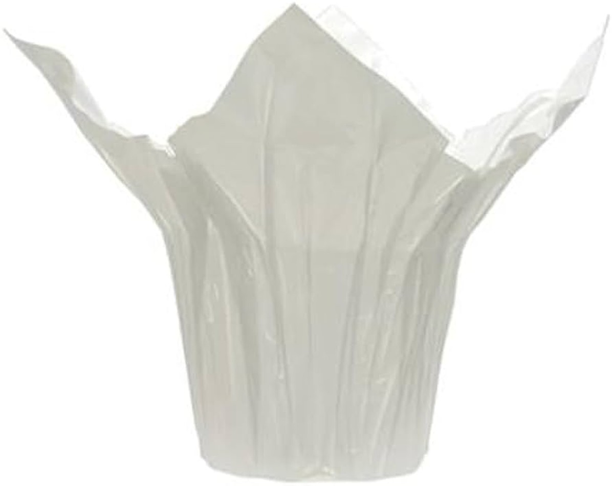 Hliníková fólie kolem květináče mění všechno – věděli jste proč? - image 1