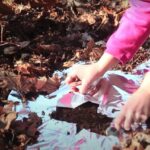 Hliníková fólie pod okolo stromů? Zemědělci říkají, že to šetří 40% vody