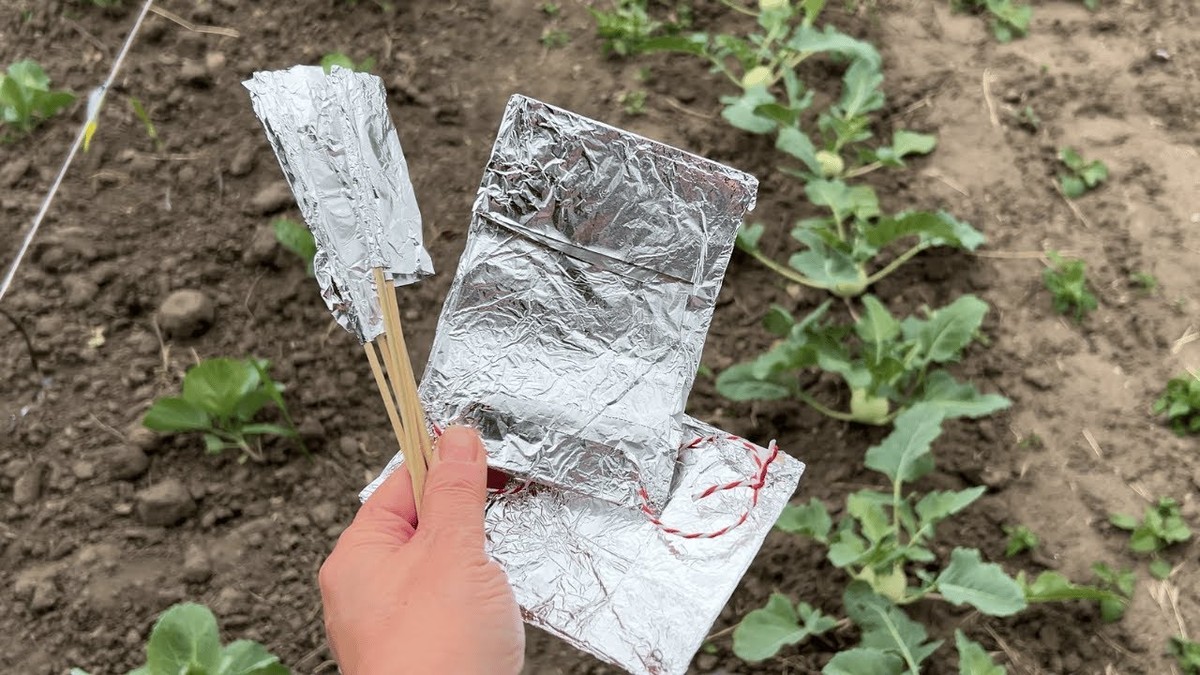 Hliníková fólie za radiátorem? Zahradníci ji používají jako zázrak proti námraze na rostlinách - image 2