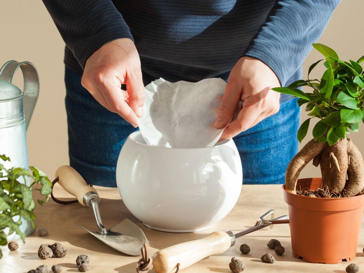 Kávový filtr jako součást zavlažovacího systému: Trик, který zahradníci tají