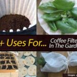 Kávový filtr jako lepší nástroj na weeding? Zahradníci to tají