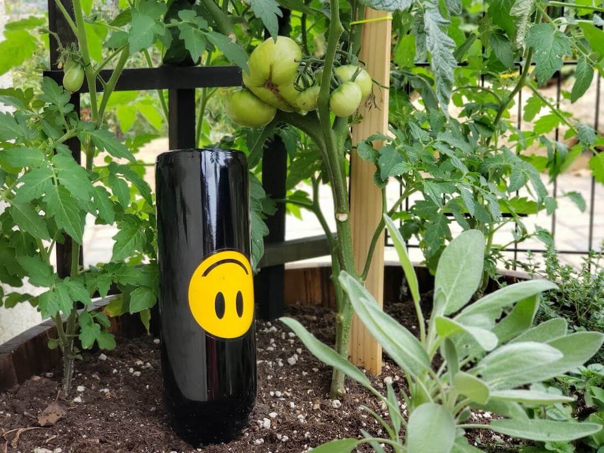 Kávový filtr v květináči: proč záhradníci tímto trikem šetří vodu o 40 procent - image 2