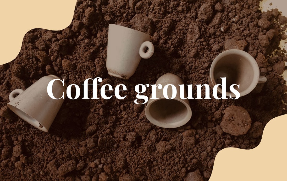 Kávový sedlák do půdy změní váš rajčete na giganta. Zahradníci to vědí - image 1