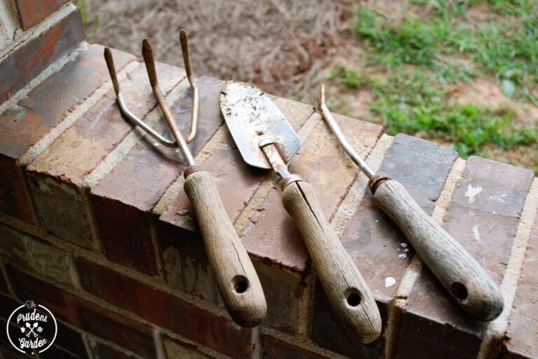 Kouzelný trik s pískem: Jak vrátit lesk své zahradní nářadí za pět minut