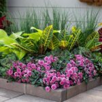 Krajináři připomínají: Toto nikdy nesázejte vedle sebe