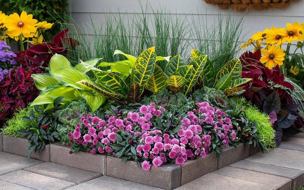 Krajináři připomínají: Toto nikdy nesázejte vedle sebe