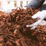 Krajináři prosí: nekupujte ten druh mulče, který vás připravuje o peníze