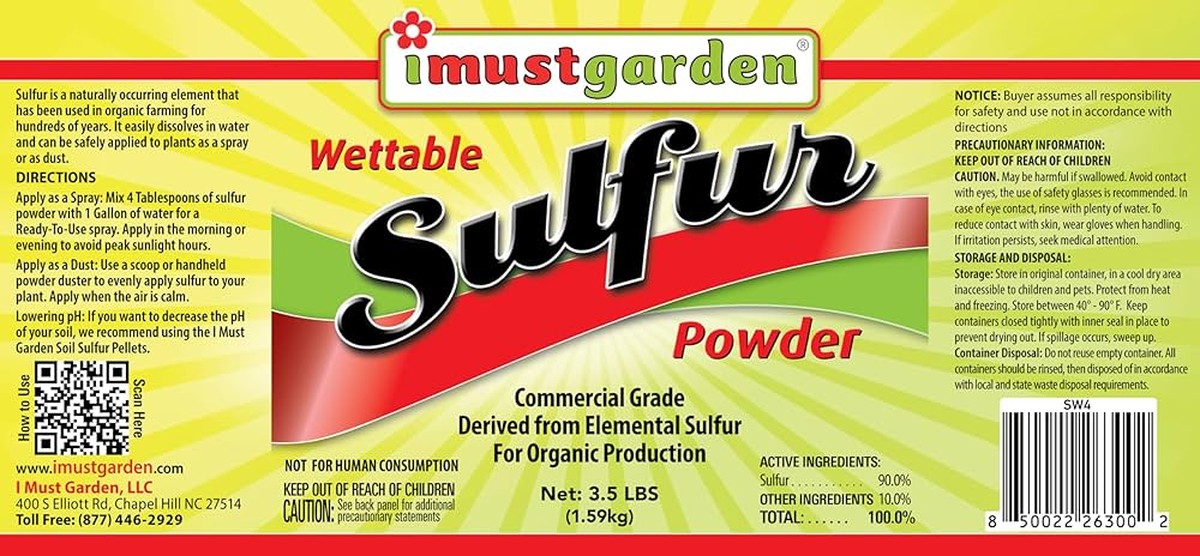 Kukuřičný škrob na rajčatech? Starogermánský trik proti plísním bez chemie - image 1