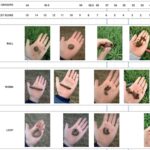 Květináři vám prozradí: kdy přesně má prst v půdě cítit pouze vlhko