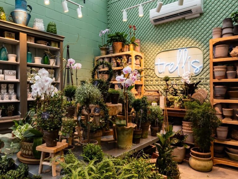 Květinář od rostlin dlouhých 20 let: Jedna chyba stojí život celé květinářně