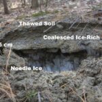 Ledová tříska v půdě změní vaši úrodu. Zde je důvod