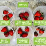 Ledová voda s octem na jahodách: vědecky ověřený trik na prodloužení času dozrávání