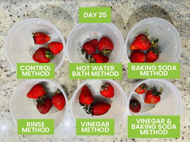 Ledová voda s octem na jahodách: vědecky ověřený trik na prodloužení času dozrávání