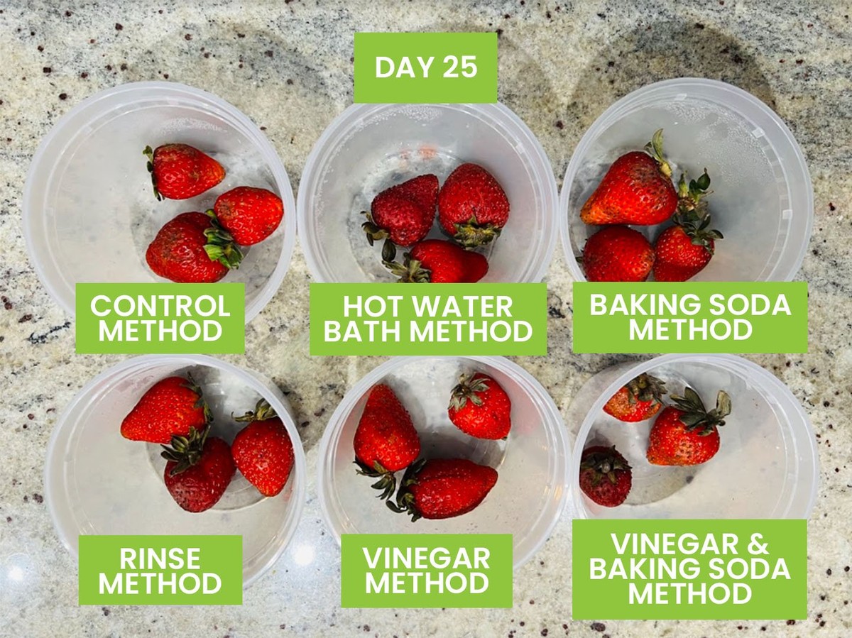 Ledová voda s octem na jahodách: vědecky ověřený trik na prodloužení času dozrávání